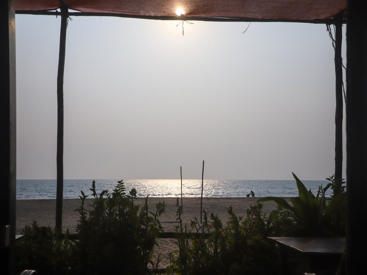 Goa tropical beach and coconut palms