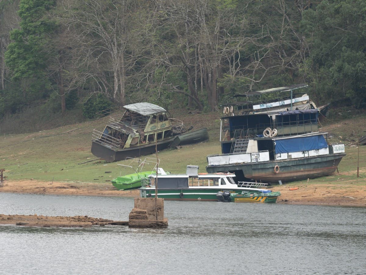 Kerala Wild Adventure — Trekking, Rafting & Jungle Safari