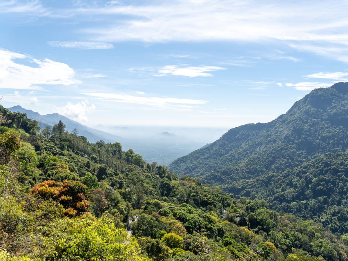 Ooty & Kodaikanal Hill Station Twin Tour — Nilgiri Tea & Silent Valley